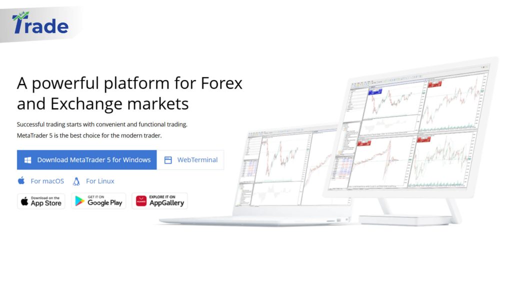 mt5 landing page screenshot